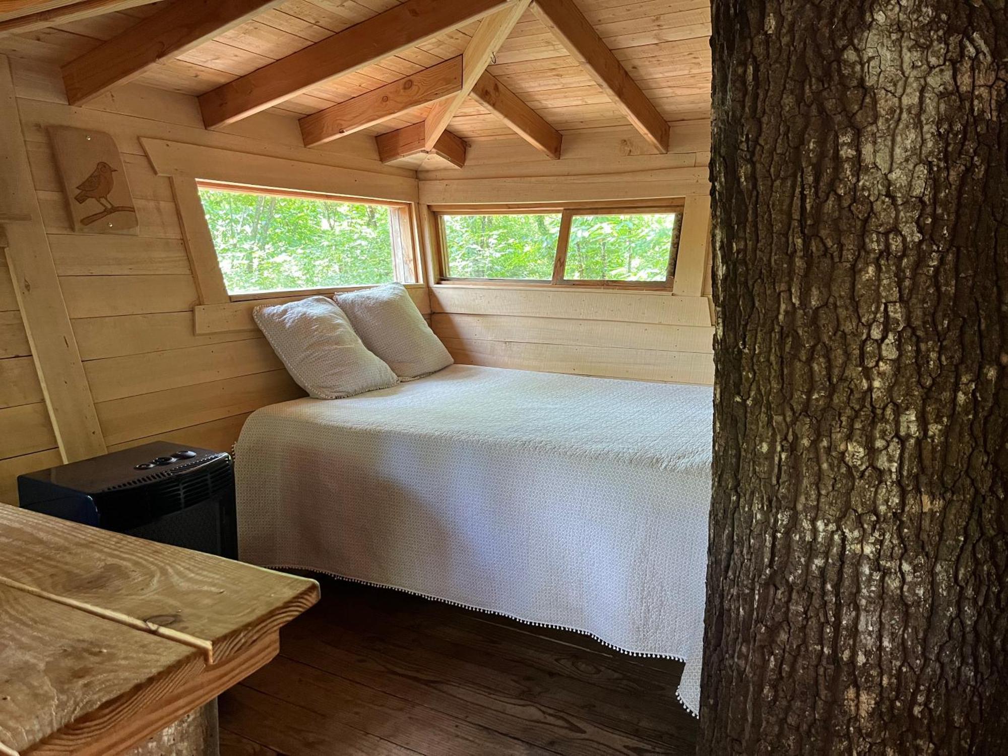 Les Ecolodges de l'Orbière Forcé Esterno foto