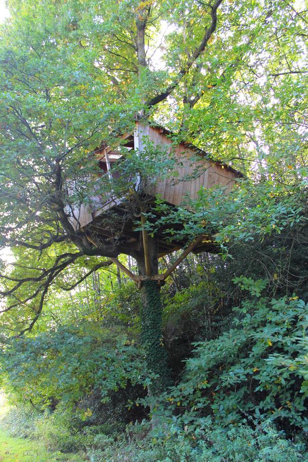 Les Ecolodges de l'Orbière Forcé Esterno foto